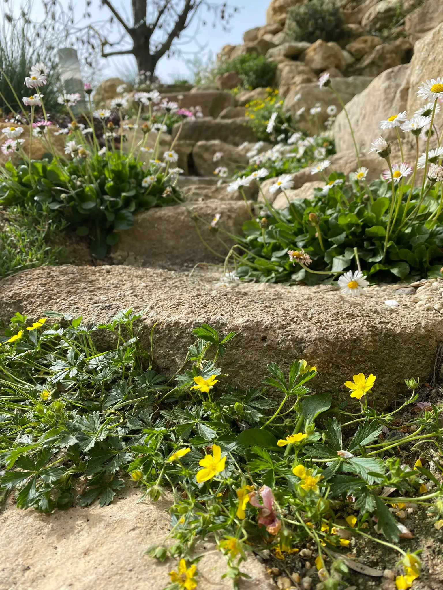 Naturtreppe aus Stein