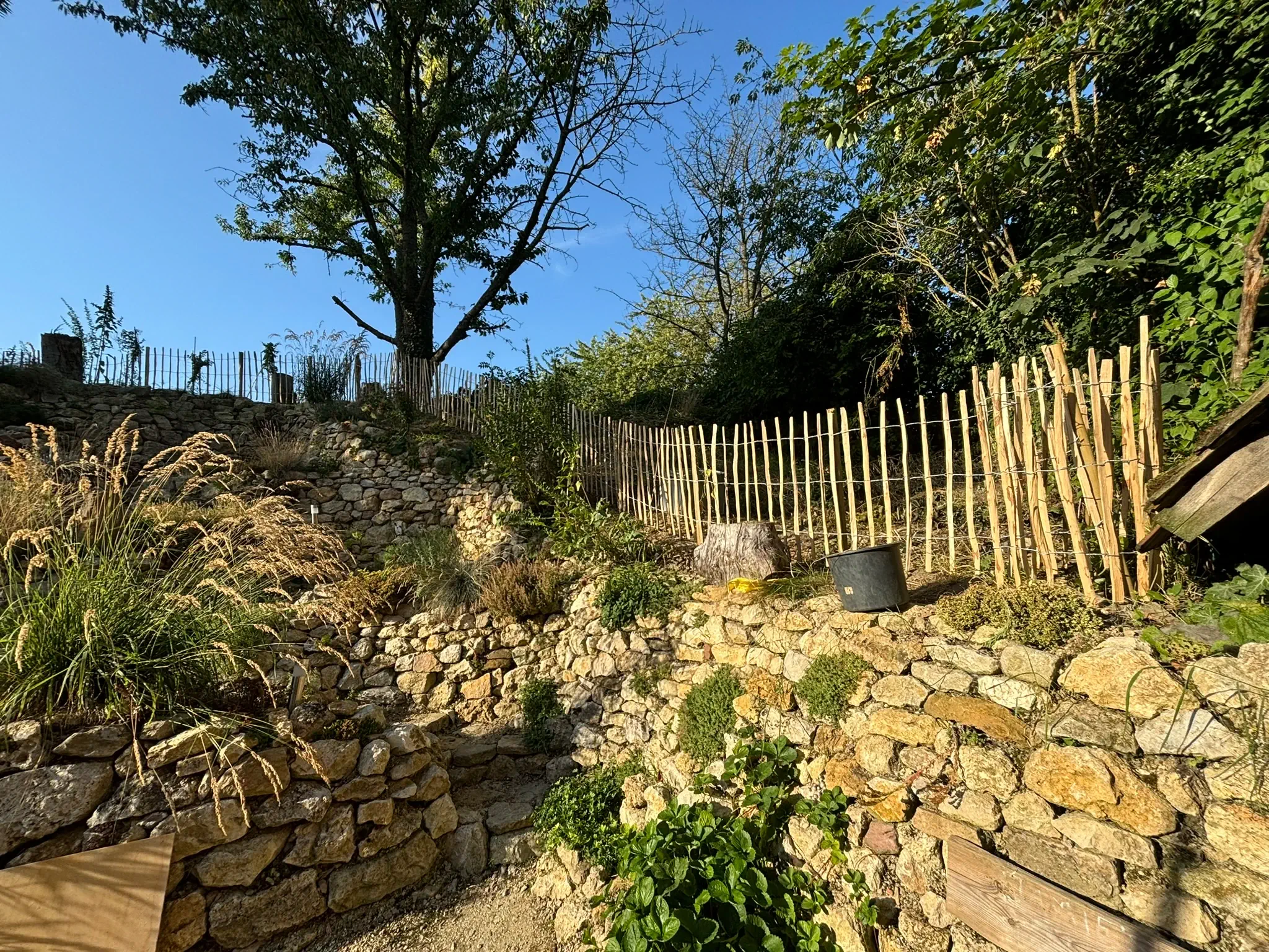 Naturgarten für mehr Biodiversität