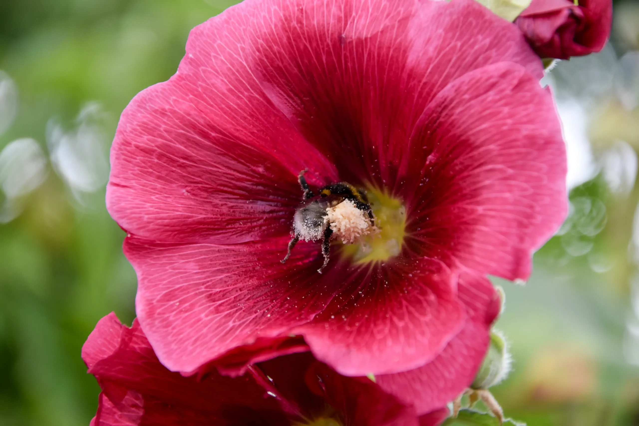 mehr Biodiversität durch kleine Biotope