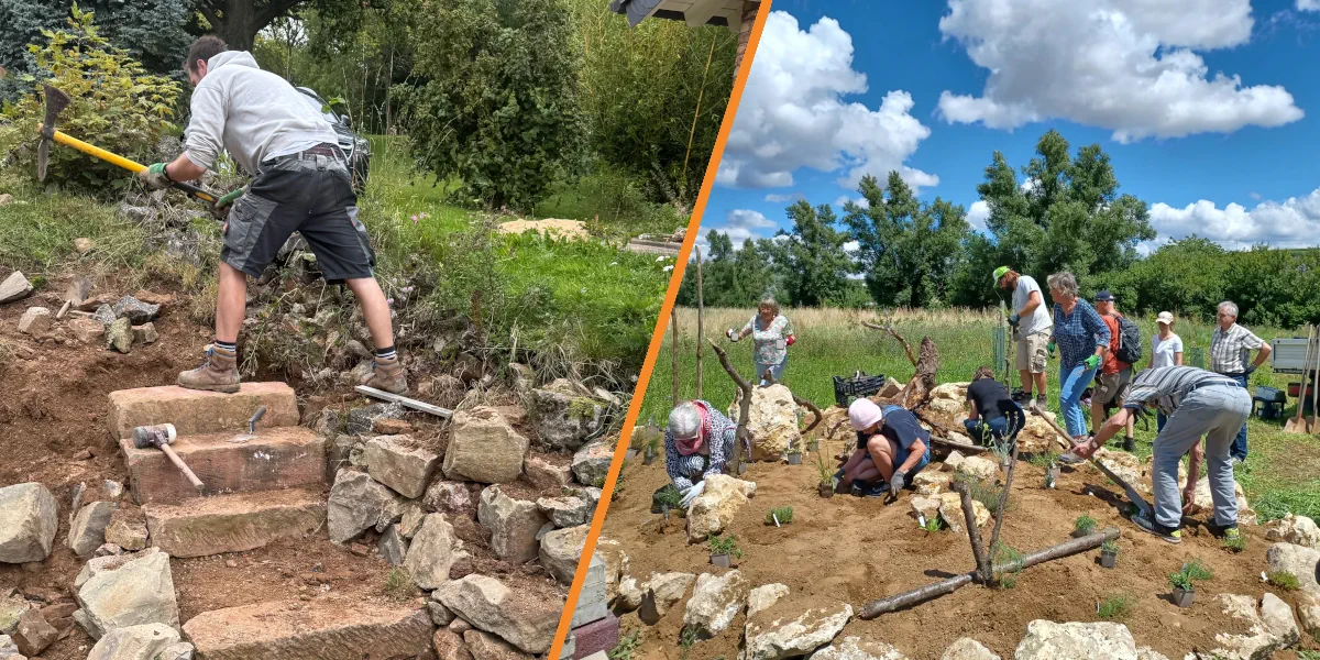 Naturgarten Leistungen im Garten und im Workshop