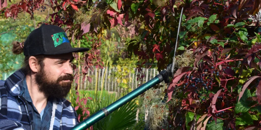 Pflege und Planung mit geschultem Auge