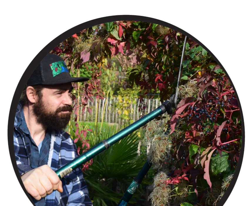 Heckenpflege in Naturgarten