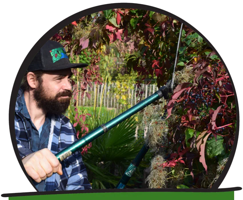 Pflege in einem Naturgarten