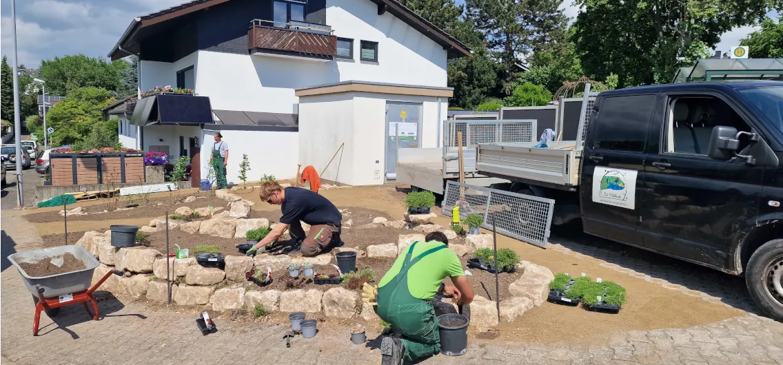 08.05.: es Wird Grün. Die Pflanzen kommen