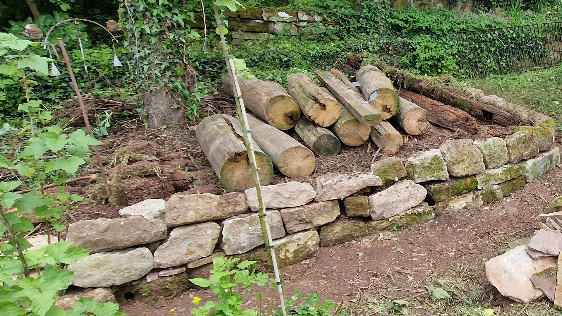 Waldbeet als kurzfristiger Lageroder der Baumstämme